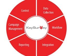 Key Survey logo
