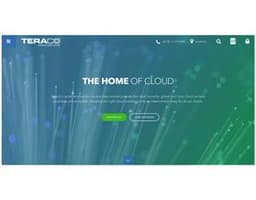 Teraco logo
