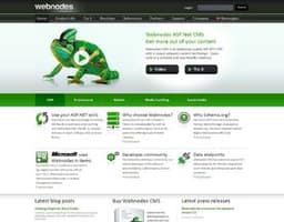 Webnodes logo