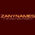 Zanynames logo