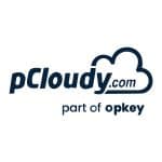 pCloudy logo
