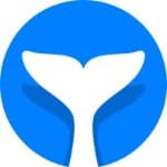 Intempt logo