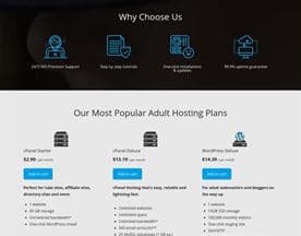 Adult Web Host 1 logo