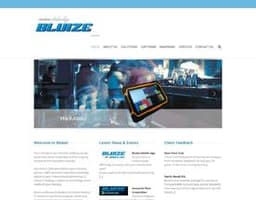 Bluize logo