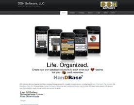 DDH Software logo
