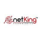 Netking Technologies logo