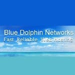 Blue Dolphin Networks logo