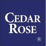 Cedar Rose